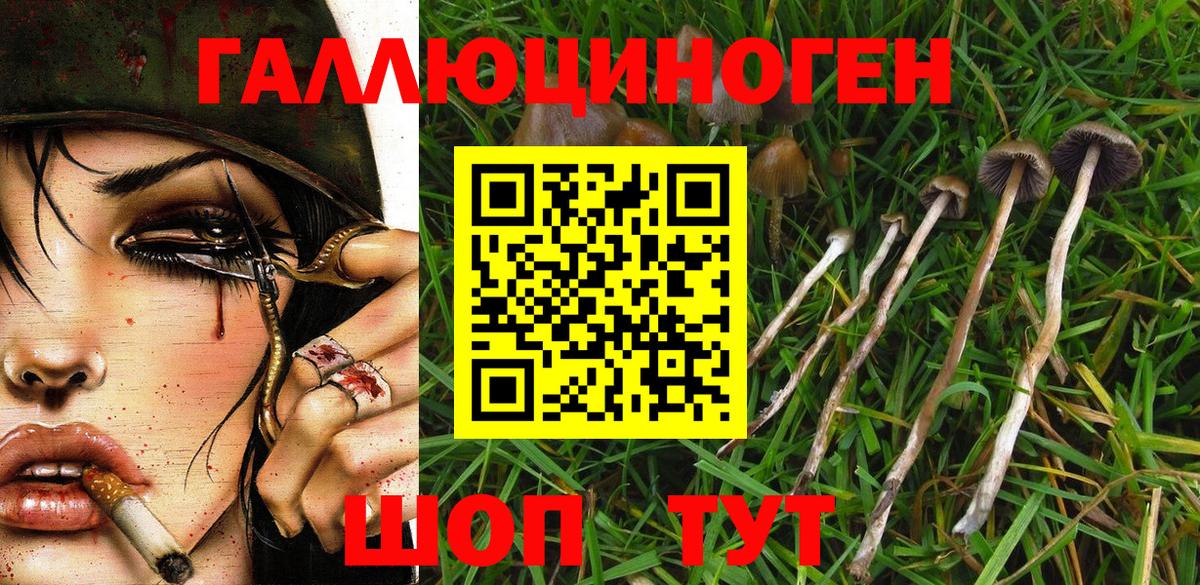 Галлюциногенные грибы мухоморы  Вход с VPN  Сызрань 